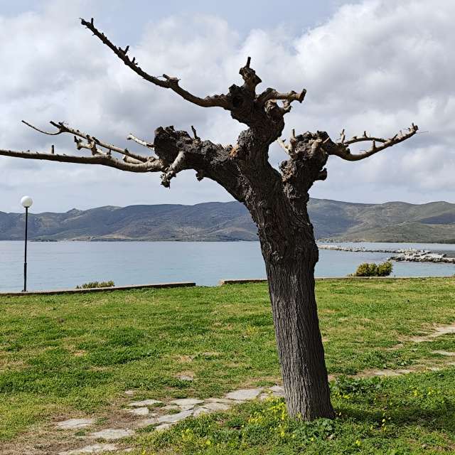 Photos Champ. Prévisions météo avec de superbes photos de XARA de Grèce-Centrale