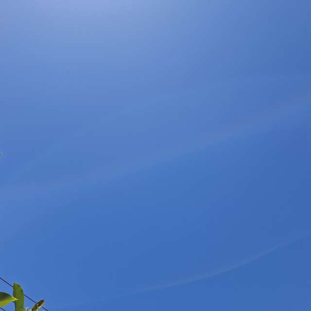 Photos Vol. Prévisions météo avec de superbes photos de Wen-ya Huang de Kaohsiung