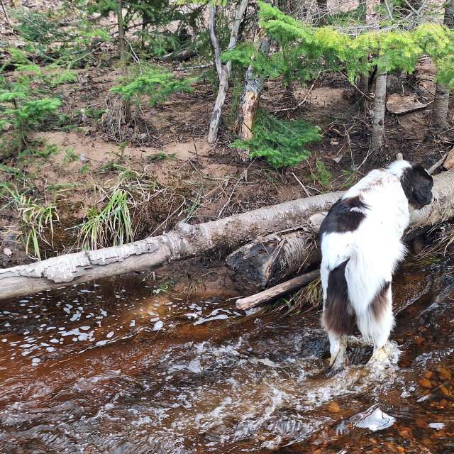 Weather forecasts with beautiful photos by NorthernMichiganBeauty