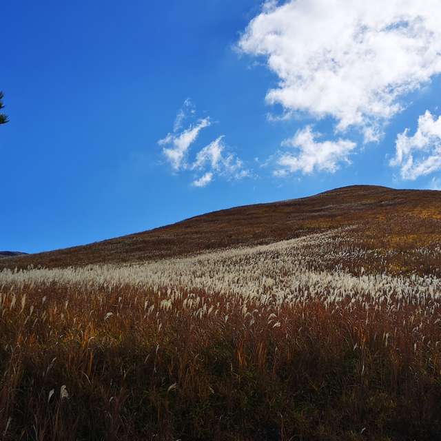九重グリーンパーク泉水キャンプ村 日本 14日間の天気予報 レーダー 写真 Weawow