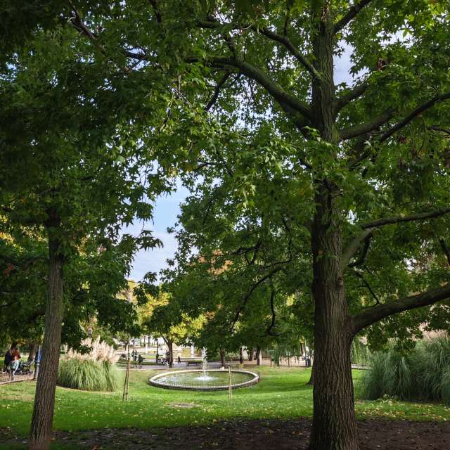 Weather forecasts with beautiful photos by Adri_fp