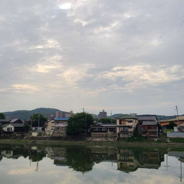 Sheep. Weather forecasts with beautiful photos by あさのジジ Photos in Okayama
