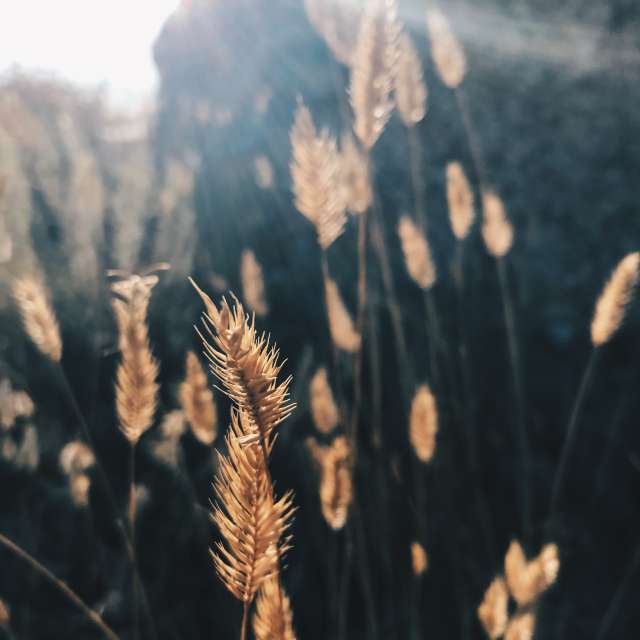 Weather forecasts with beautiful photos by Echtge