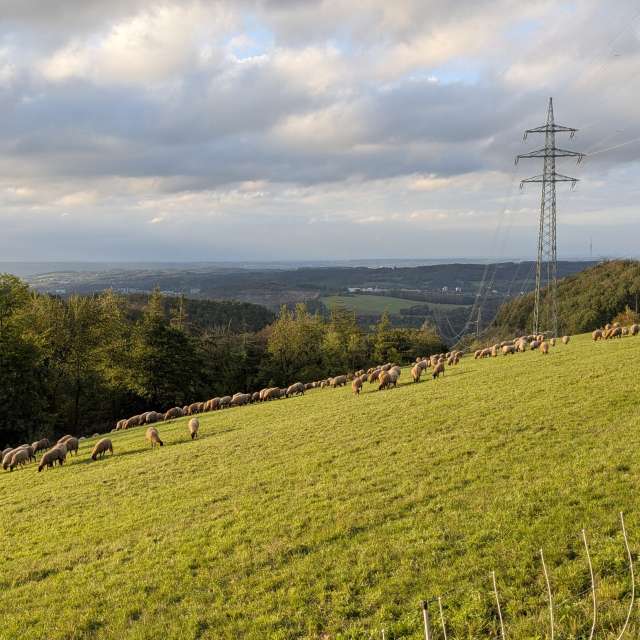 Wettervorhersagen mit schönen Fotos von Frank Neuhaus