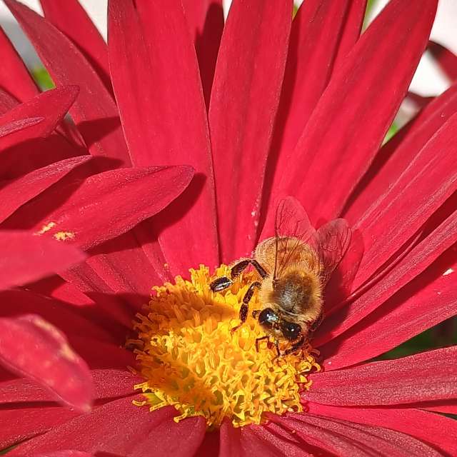 天气预报，带AgentTomcat精美的照片