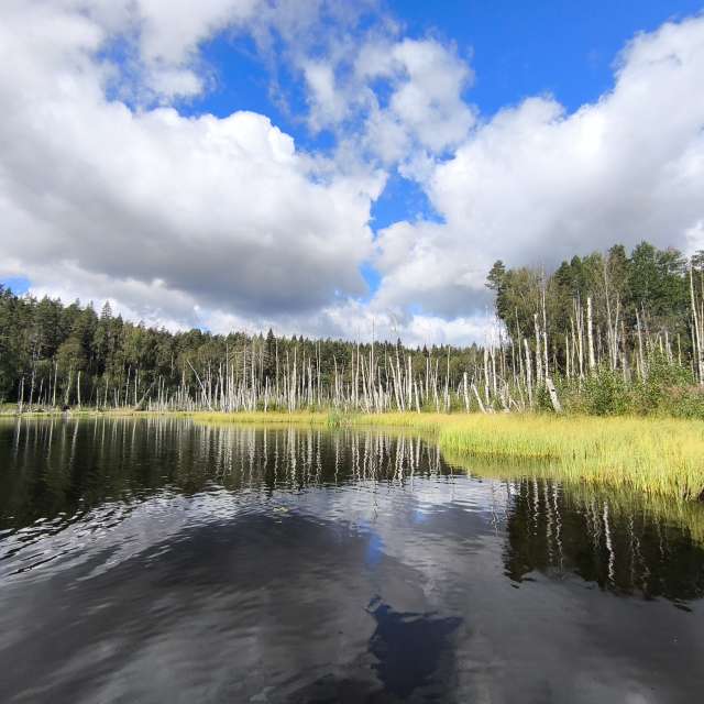 Previsões do tempo com lindas fotos de -_-devil666-_-