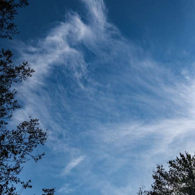 Man. Weather forecasts with beautiful photos by krantzjh Photos in Clifty Falls State Park
