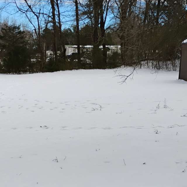 Прогнозы погоды с чудесными фотографиями, сделанными Awcat