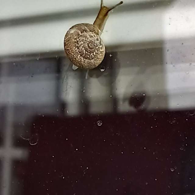 Weather forecasts with beautiful photos by MOR