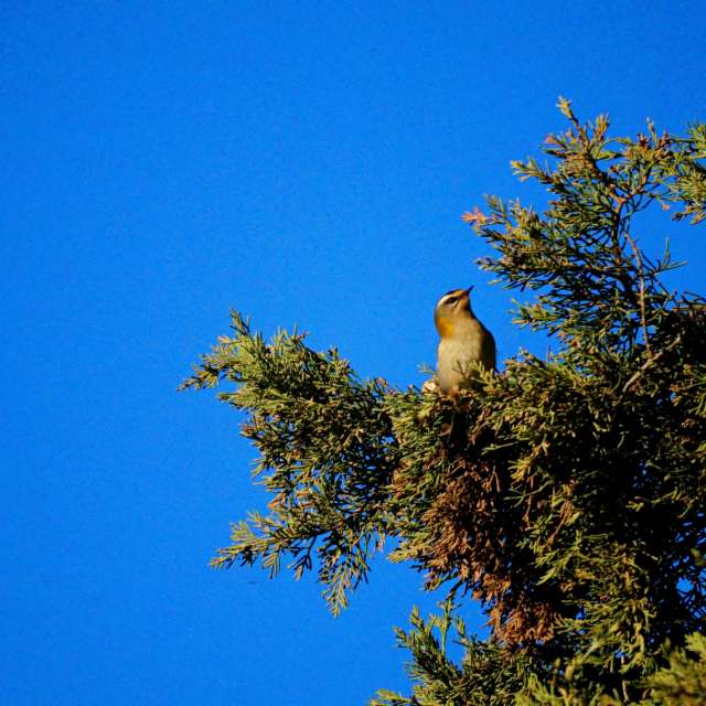 Weather forecasts with beautiful photos by tony5636