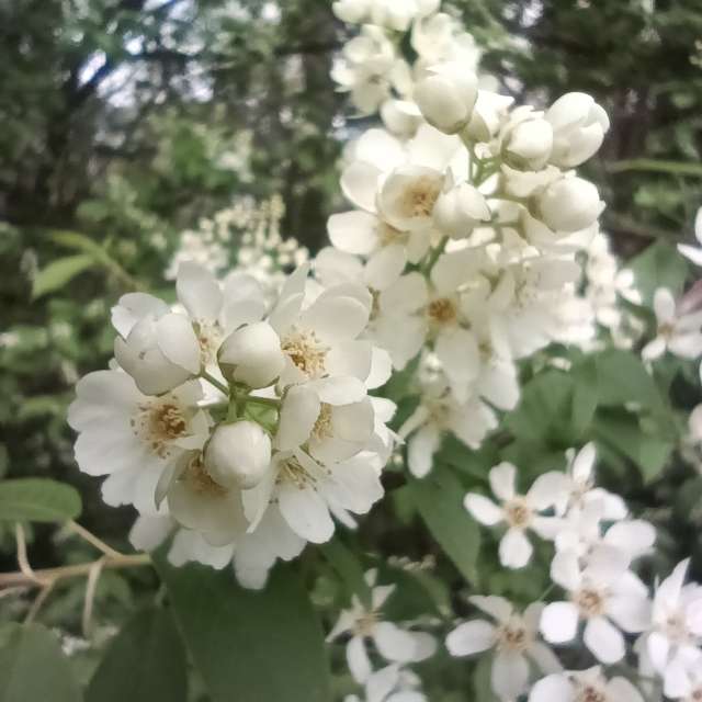 Weather Photos in World. Weather forecasts with beautiful photos by Amanda_and_Valdemar_Che