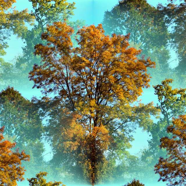 Прогнозы погоды с чудесными фотографиями, сделанными ConstantinR