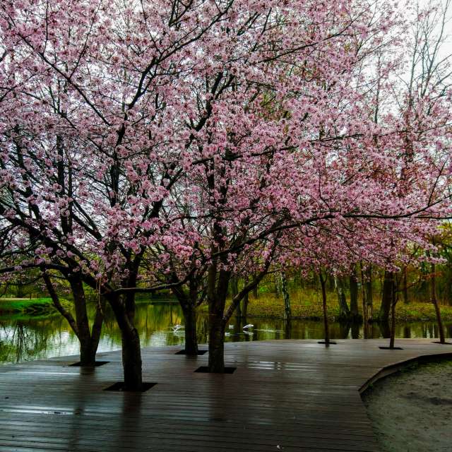 Weather Photos in World. Weather forecasts with beautiful photos by Jea