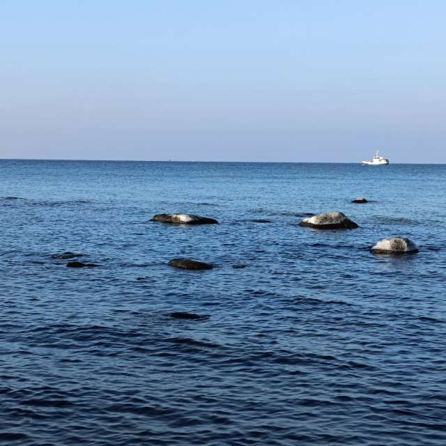 Fotos Flutuando. Previsões do tempo com lindas fotos de Михаил Бондаренко em Pionerskiy