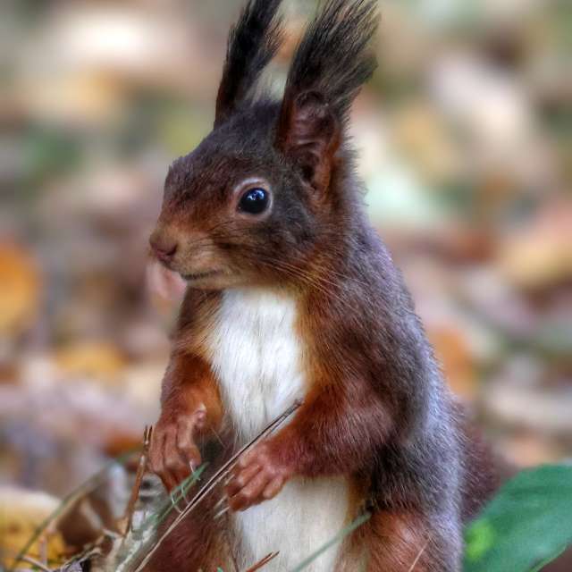 Lotti5507の美しい写真による天気予報