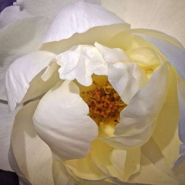 Prévisions météo avec de superbes photos de Wen-ya Huang