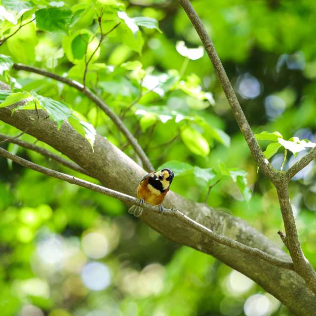 Fotos del Clima. Pronósticos del tiempo con hermosas fotos de Ashley en Tama