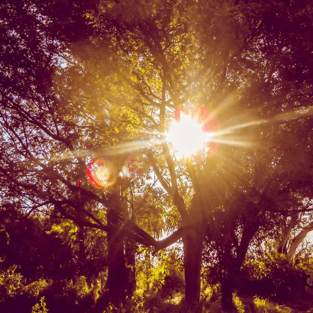 Weather forecasts with beautiful photos by alma_en_foto