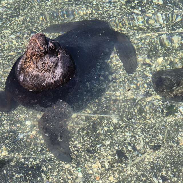 Weather Photos in Puerto Montt. Weather forecasts with beautiful photos by Serravalle