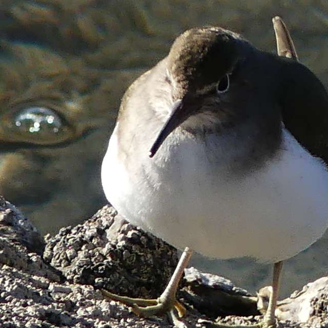 Previsões do tempo com lindas fotos de BIKOTRAVEL