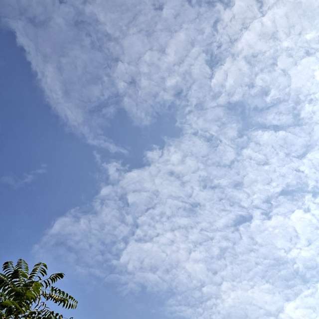 Man. Weather forecasts with beautiful photos by Wen-ya Huang Photos in World