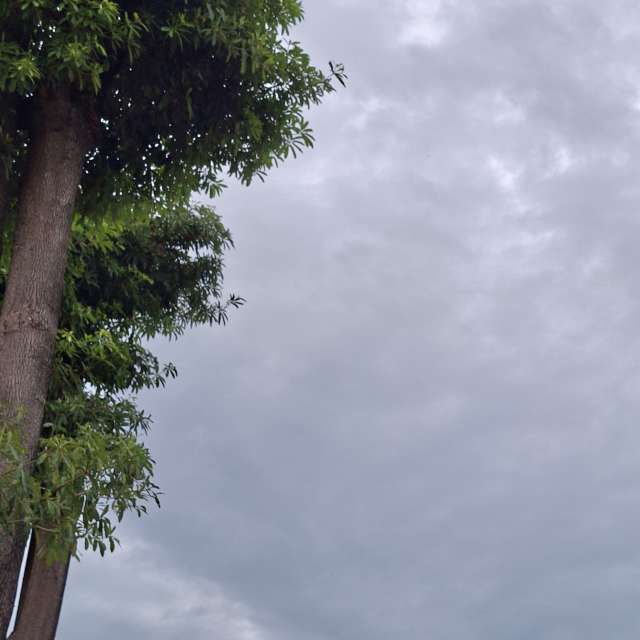 Photos Corps. Prévisions météo avec de superbes photos de Wen-ya Huang de Kaohsiung