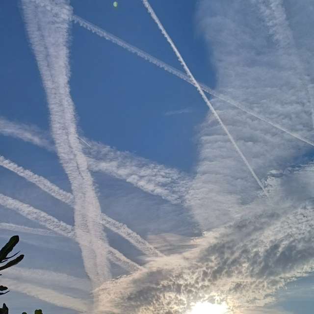 Photos Homme. Prévisions météo avec de superbes photos de Lolli de Maidstone