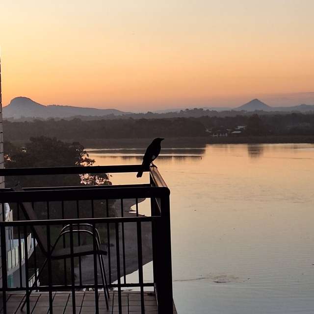 Weather forecasts with beautiful photos by bats