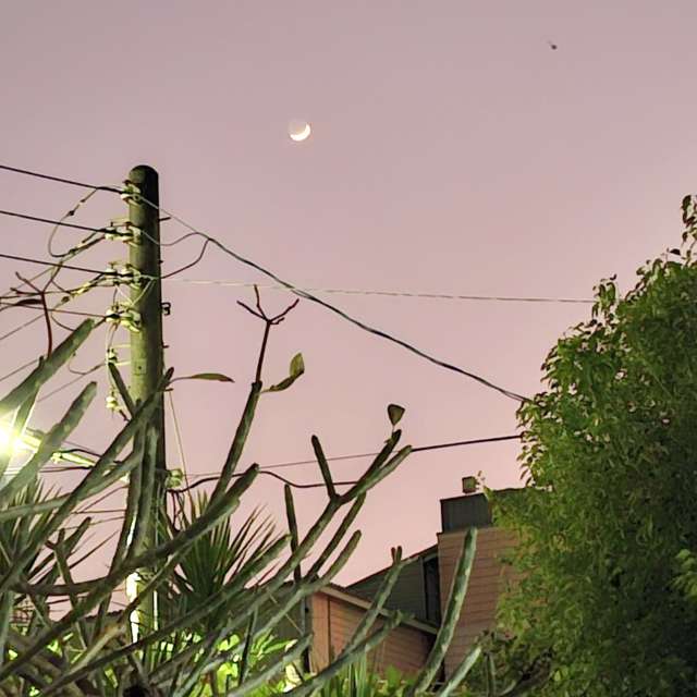 Fotos Arbustos. Previsões do tempo com lindas fotos de Wen-ya Huang em Kaohsiung City