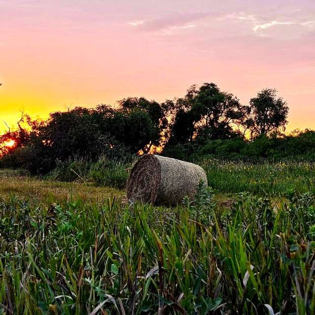 Jd2024の美しい写真による天気予報
