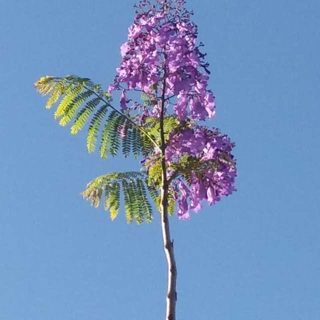 天气预报，带davidonefighter精美的照片