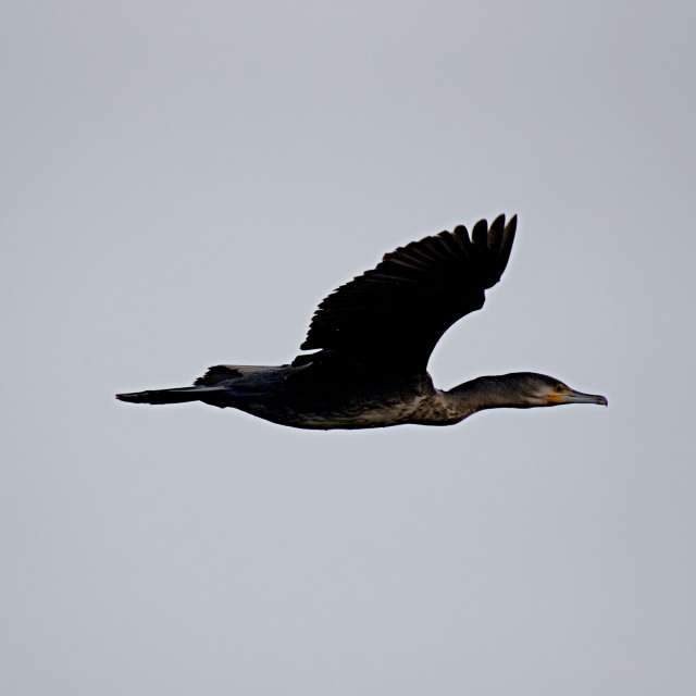 Weather forecasts with beautiful photos by tony5636