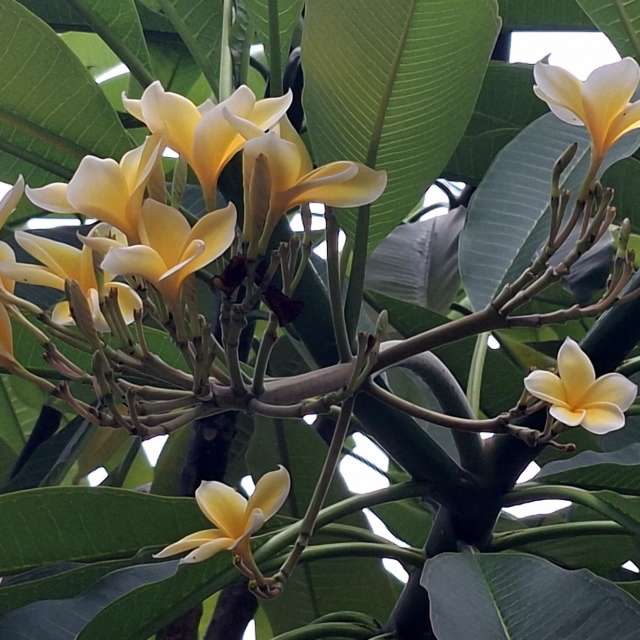 Room. Weather forecasts with beautiful photos by Wen-ya Huang Photos in Kaohsiung City