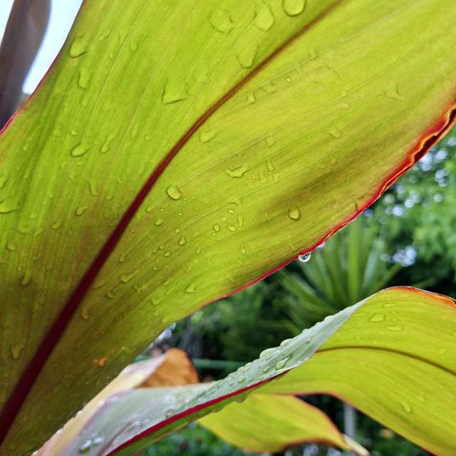 Laying. Weather forecasts with beautiful photos by Wen-ya Huang Photos in Kaohsiung City