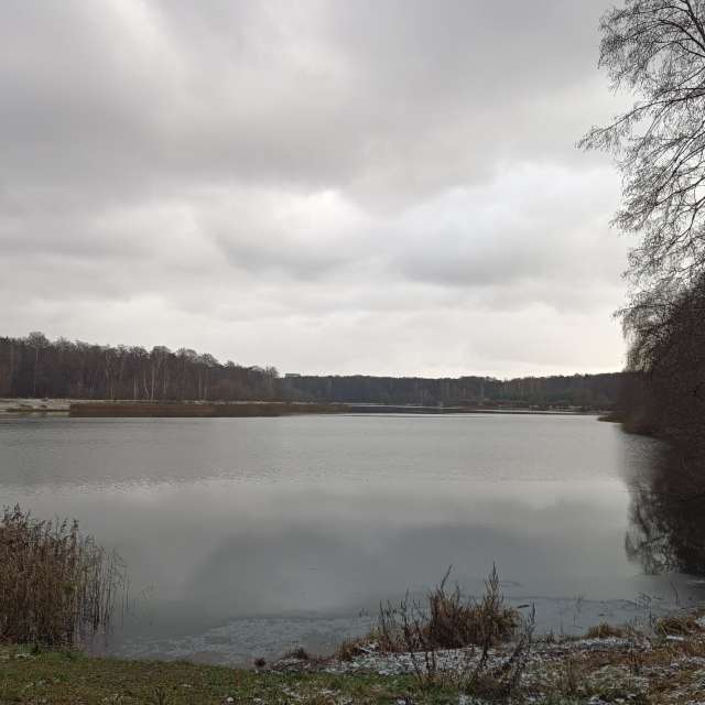Herd. Weather forecasts with beautiful photos by Amanda_and_Valdemar_Che Photos in Izmaylovo District