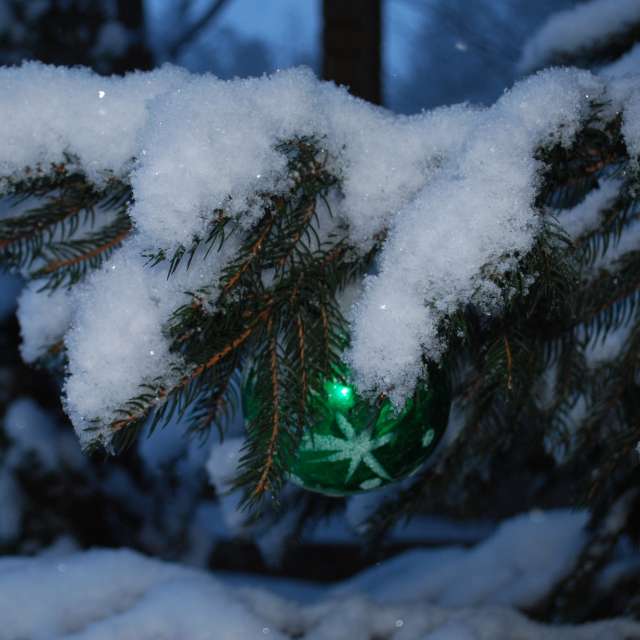 Weather forecasts with beautiful photos by Marcela Cervenakova