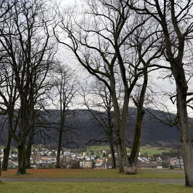 天气预报，带SwissEloi精美的照片