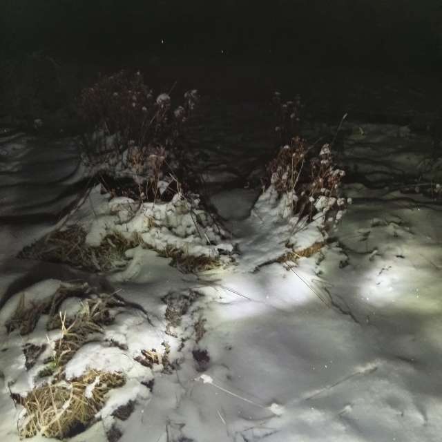 Pronósticos del tiempo con hermosas fotos de Kiki248