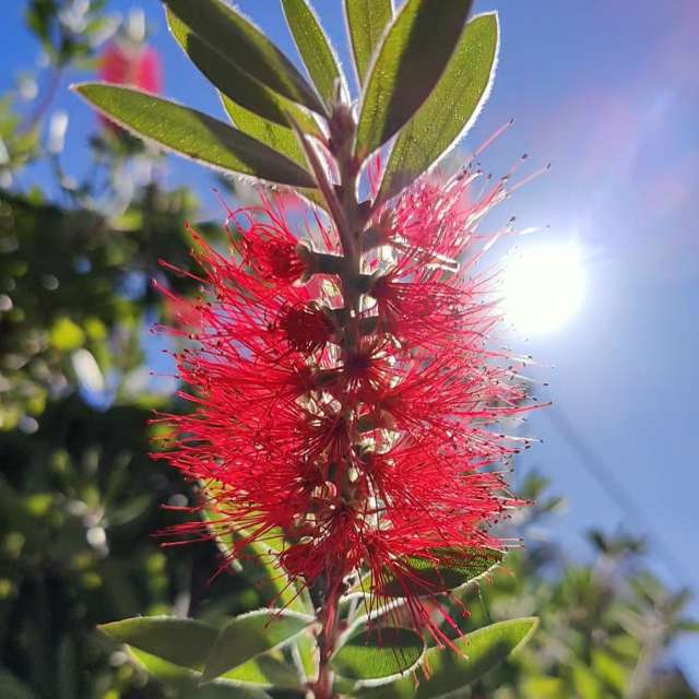 Fotos Clima. Previsões do tempo com lindas fotos de RoDi-zign em Malia