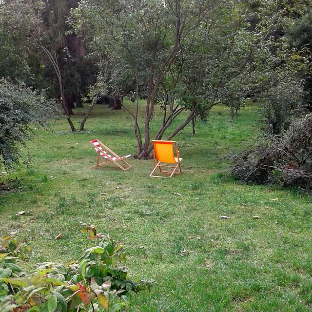 Standing. Weather forecasts with beautiful photos by urashm Photos in Khmelnytskyi