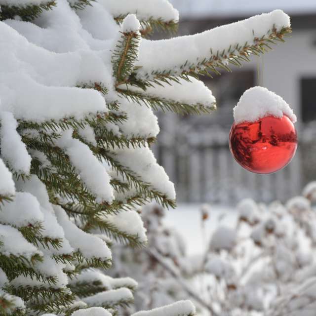 Photos météo à Monde. Prévisions météo avec de superbes photos de Belkka303