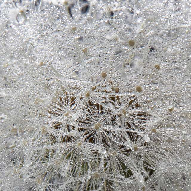 Previsões do tempo com lindas fotos de Juergen