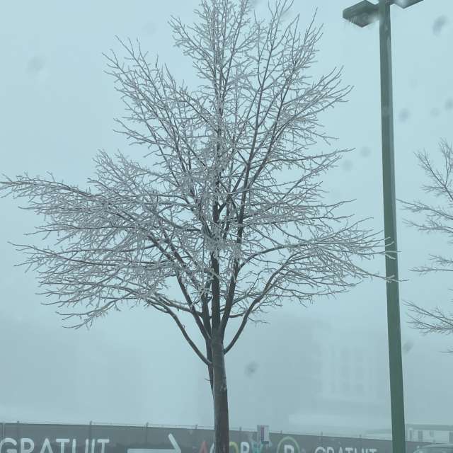 Front. Wettervorhersagen mit schönen Fotos von Lulu5523 Fotos Outaouais