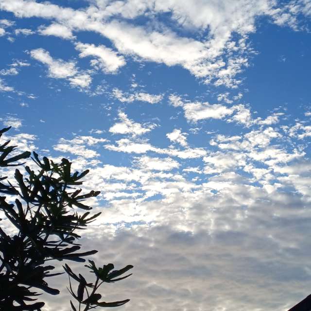 Прогнозы погоды с чудесными фотографиями, сделанными Lolli