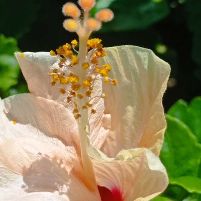 Прогнозы погоды с чудесными фотографиями, сделанными fernanda24h