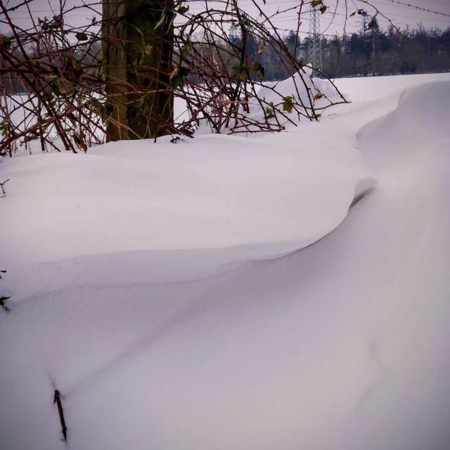 Glasmanの美しい写真による天気予報