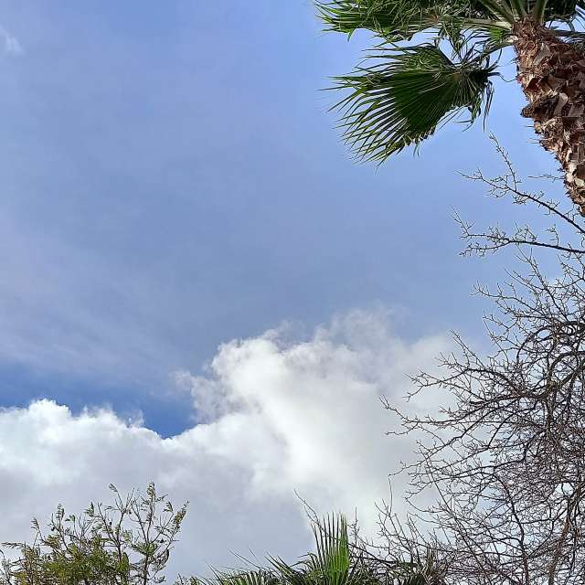 Pronósticos del tiempo con hermosas fotos de MOR