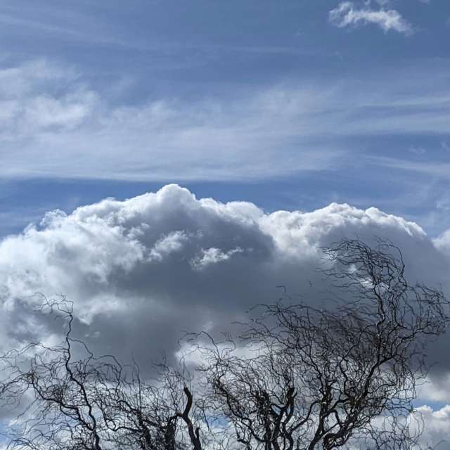 Walking. Weather forecasts with beautiful photos by kns666 Photos in Yarwell Mill Country Park
