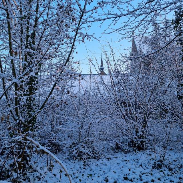 Greetの美しい写真による天気予報