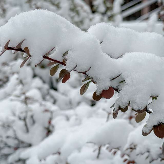 Прогнозы погоды с чудесными фотографиями, сделанными LMukasz
